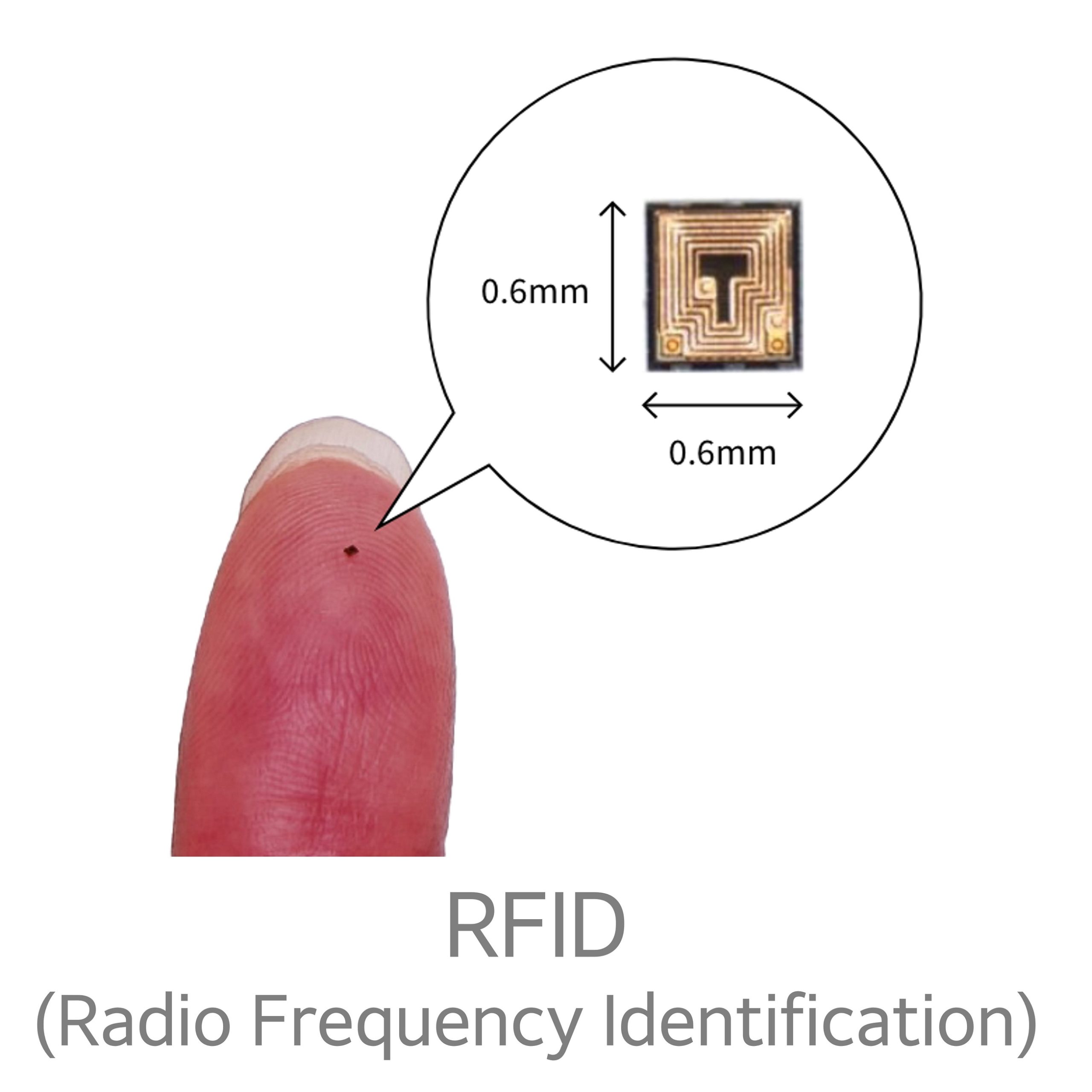 OBD-Details-Img